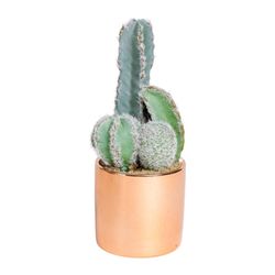 SEMA Design Cactus (Ø7,5x19,5cm) - brown/green (00)