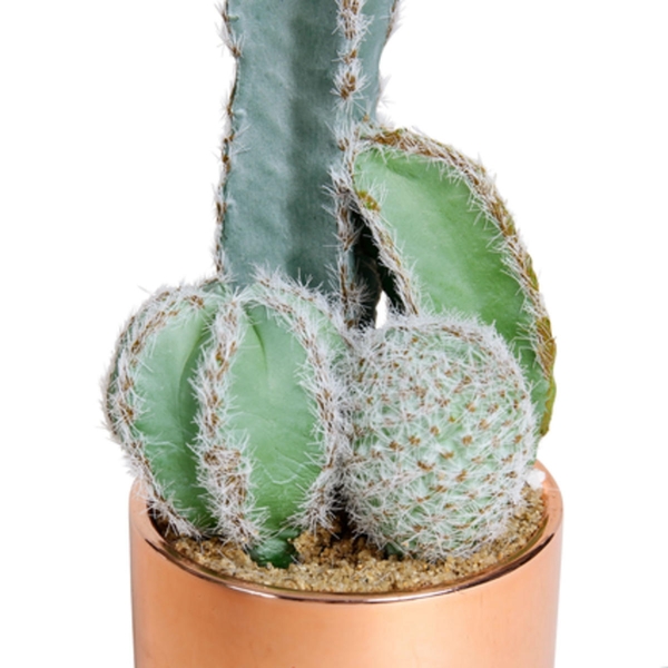 SEMA Design Kaktus (Ø7,5x19,5cm) - braun/grün (00)