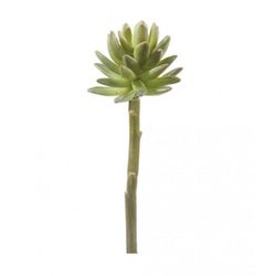 Pomax Plante artificielle (22cm) - vert (00)