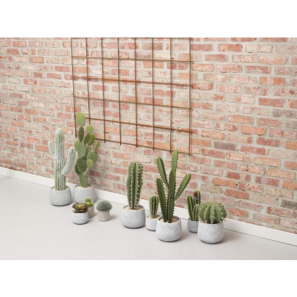 Pomax Cactus (H42 cm) - gray/green (00)