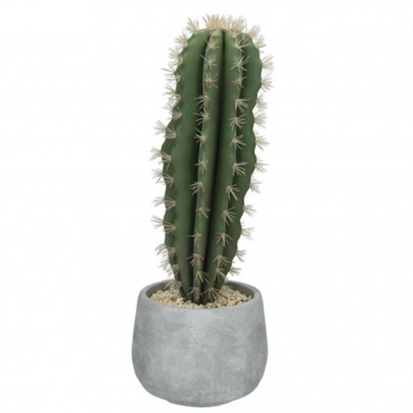 Pomax Kaktus (H42cm) - grau/grün (00)