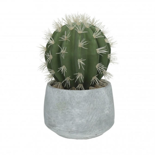 Pomax Cactus (H18.5cm) - gray/green (00)