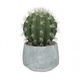 Pomax Cactus (H18.5cm) - gris/vert (00)