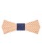Mr. Célestin Wooden bow tie DUBLIN - blue/brown (MAPLE)
