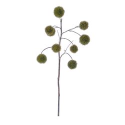 Pomax Kunstpflanze (76cm) - grün/braun (00)