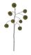 Pomax Kunstpflanze (76cm) - grün/braun (00)
