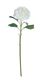 Pomax Artificial flower Hortensia (85cm) - white (00)