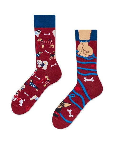 Many Mornings Chaussettes WALKIE DOGGIE - rouge/bleu (00)