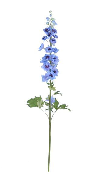 Pomax Fleur artificielle (103cm) - violet/vert/bleu (00)