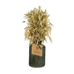 SEMA Design Trockenpflanze mit Vase - grün (1)