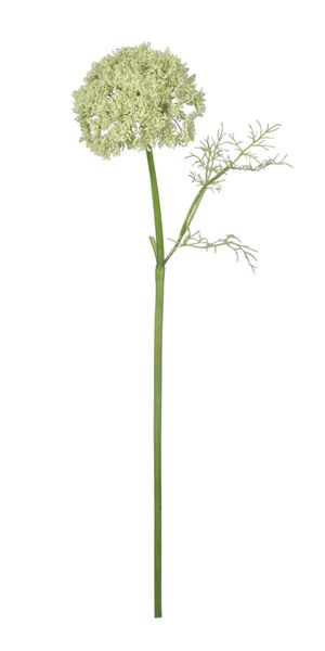 Pomax Artificial flower (73cm) - green (00)