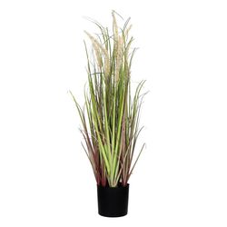 Pomax Kunstpflanze (Ø11x78cm) - Grass - grün (BEI)