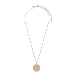 Pilgrim Zodiac Sign Coin Necklace: Aquarius - gold (GOLD)