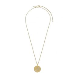 Pilgrim Zodiac Sign Coin Necklace: Leo - gold (GOLD)