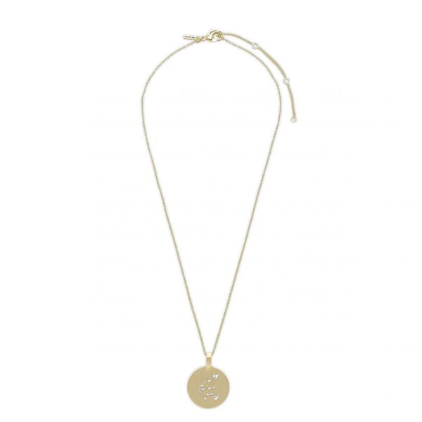 Pilgrim Collier de signe astrologique : Verseau - gold (GOLD)