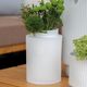 Räder Vase - No rain, no flowers (D:15cmxH:22cm) - white (0)