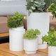 Räder Plant pot - Keep on growing (H:14,5xD:13,5cm) - white (0)
