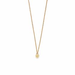 Riverstones Chain - Compass  - gold (Gold)