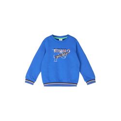s.Oliver Red Label Sweatshirt with embroidery and print  - blue (5588)