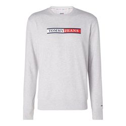 Tommy Jeans Crew neck sweater - gray (PJ4)