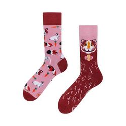 Many Mornings Chaussettes - Miss Guinea Pig - rose (00)