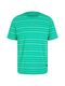 Tom Tailor Denim T-shirt à rayures - vert (31374)