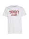 Tommy Jeans Essential T-Shirt - gray (PJ4)
