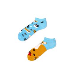 Many Mornings Socken - Playful Dog - braun/blau (00)