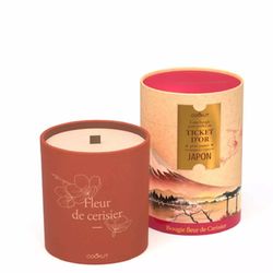 Cookut Golden ticket candle  - brown (00)