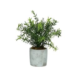 Pomax Kunstpflanze - Concrete Jungle - grün (GRE)