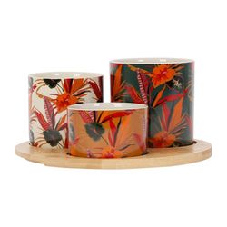SEMA Design Set de bols avec plateau (Ø20.5cm) - beige/vert (Multi)