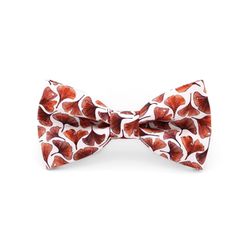 Mr. Célestin Bow tie - white/red (Rust Gingko )