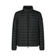 Save the duck Lightweight quilted jacket - Erion - black (50030)