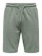 Only & Sons Sweat Shorts  - green (262142)