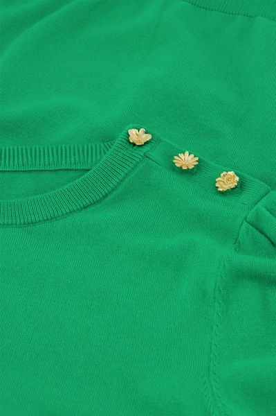 Fabienne Chapot Pullover - Jolly  - grün (4313)