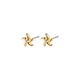 Pilgrim Recycled starfish earrings - Oakley - gold (GOLD)