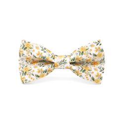 Mr. Célestin Bow tie - Nuoro - green/yellow (Daffodil Yellow)