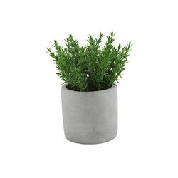 Countryfield Kunstpflanze - Thymus - grün (vert)