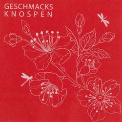 Räder Serviette (33x33cm) - rot (0)