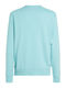 Calvin Klein Sweatshirt aus Baumwollfrottee mit Aufnäher - blau (MR5)