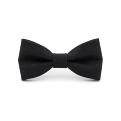 Mr. Célestin Bow tie - Cardoso - black (Black Solida)