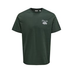 Only & Sons T-Shirt - Osteria  - grün (196008005)