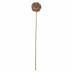 Bloomingville Kunstblume - Allium - braun (Marron)