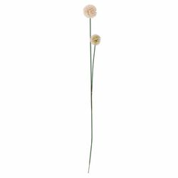 Bloomingville Artificial flower - Phlox - beige/green (Nature)