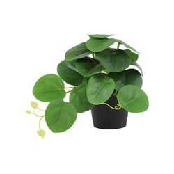 Countryfield Kunstpflanze Peperomia - grün (vert)