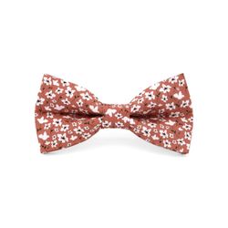 Mr. Célestin Bow tie - Roussil - brown (Rustic Spice)